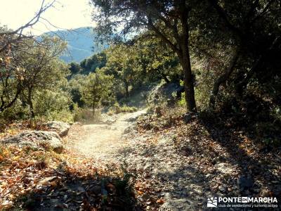 Alpujarras Granadinas [Puente de Reyes] visitas madrid amigos en madrid excursiones para cruceros